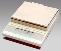 �K�������ƽ,3100g,0.1g