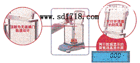 ��h���M(j��n)����ƽ,51g,0.001g